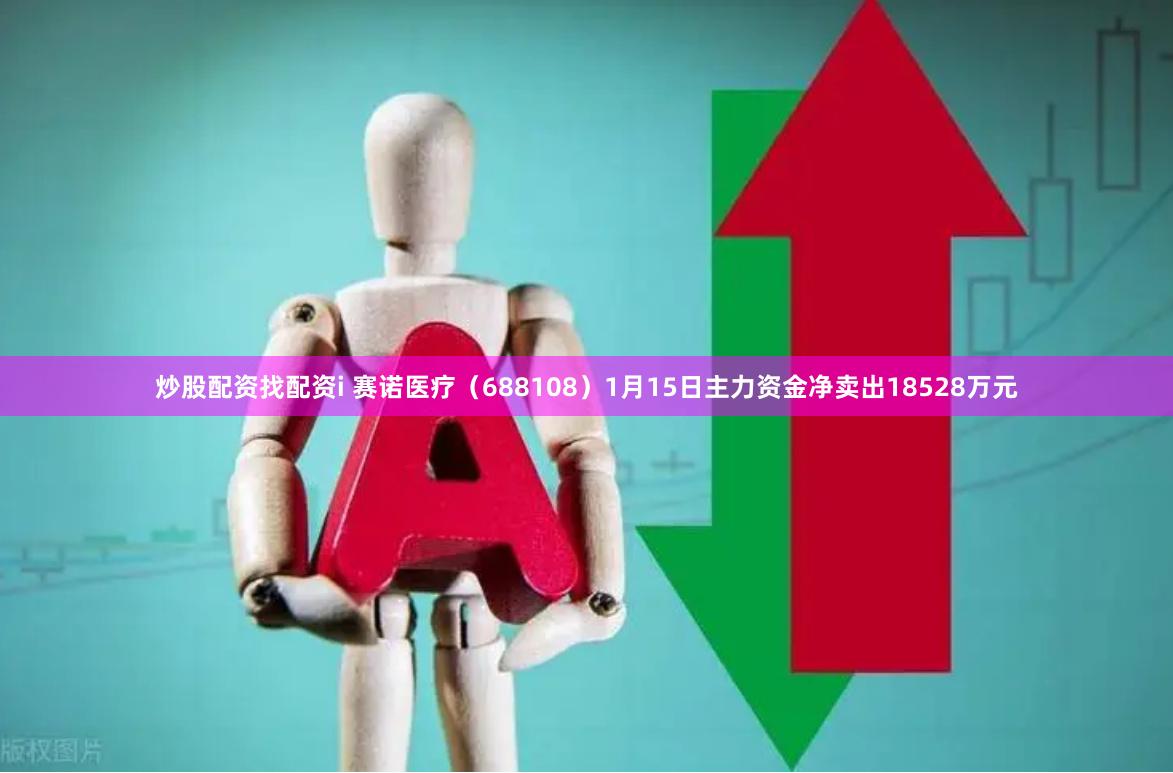 炒股配资找配资i 赛诺医疗（688108）1月15日主力资金净卖出18528万元