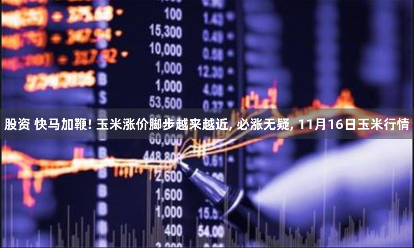 股资 快马加鞭! 玉米涨价脚步越来越近, 必涨无疑, 11月16日玉米行情