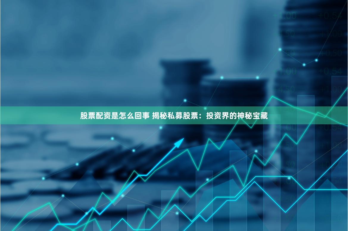 股票配资是怎么回事 揭秘私募股票：投资界的神秘宝藏