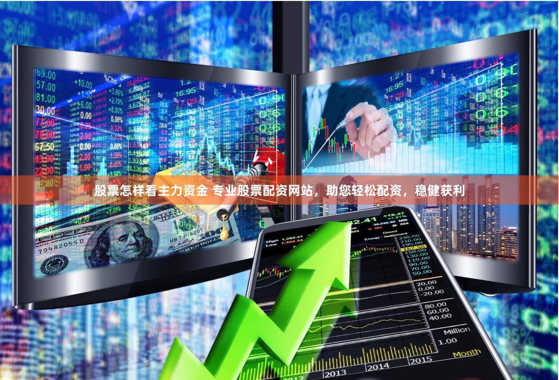 股票怎样看主力资金 专业股票配资网站，助您轻松配资，稳健获利